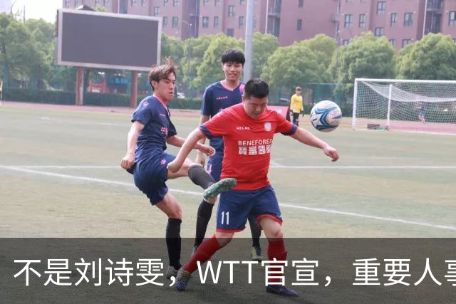 不是刘诗雯，WTT官宣，重要人事任命，乒乓美女被提拔，孙颖莎王楚钦有福了