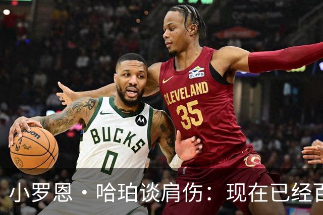 小罗恩·哈珀谈肩伤：现在已经百分之百痊愈