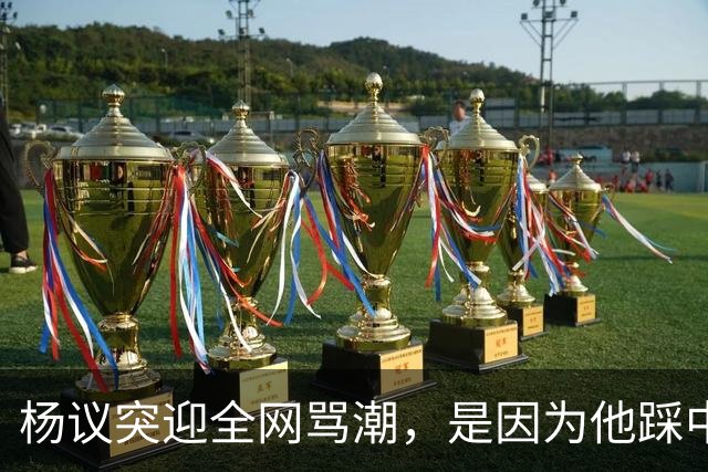 杨议突迎全网骂潮，是因为他踩中了，中国观众最讨厌的3个雷区