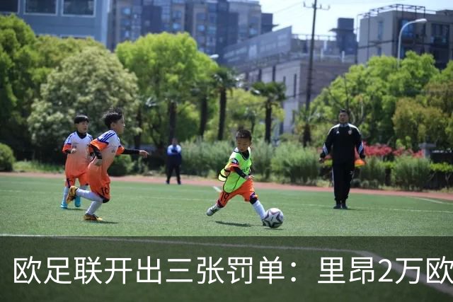 欧足联开出三张罚单：里昂2万欧，哈伊杜克8万欧，特拉布宗10万欧
