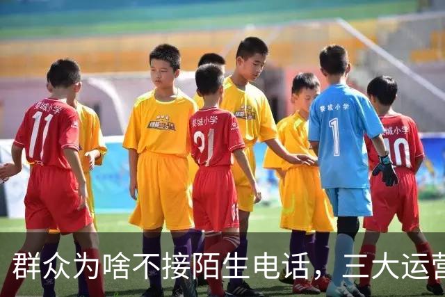 群众为啥不接陌生电话，三大运营商别装糊涂