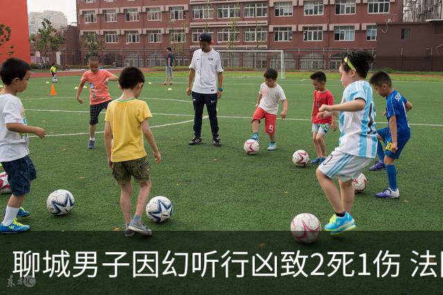 聊城男子因幻听行凶致2死1伤 法院一审判其死刑：虽患精神疾病，但主观具有杀人的直接故意