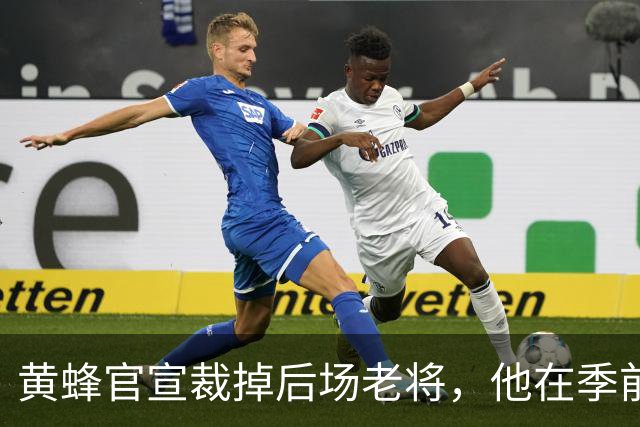 黄蜂官宣裁掉后场老将，他在季前赛期间的表现惨不忍睹？