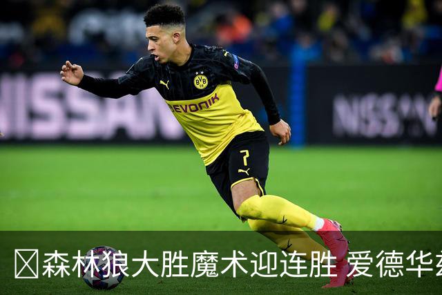 🏀森林狼大胜魔术迎连胜 爱德华兹23中5 鲍尔13中4 小卡特20+9