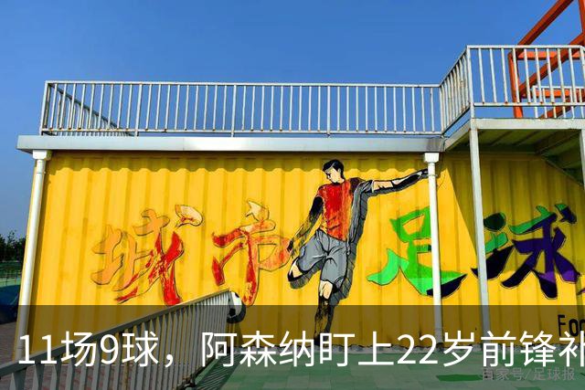 11场9球，阿森纳盯上22岁前锋补强锋线