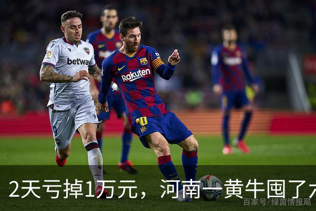 2天亏掉1万元，河南一黄牛囤了六七十台iPhone Duo卖不动