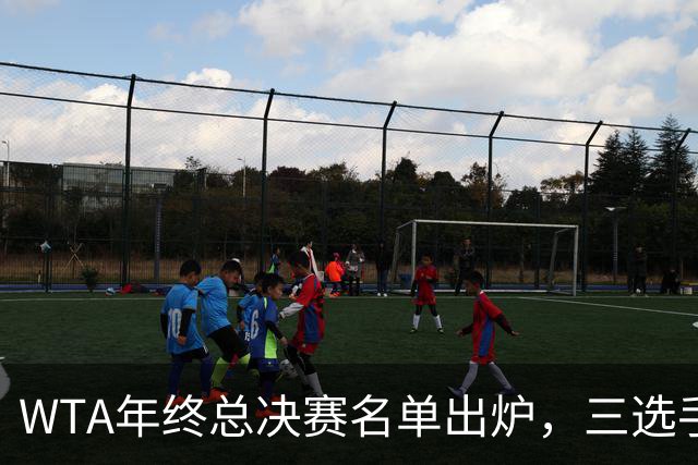 WTA年终总决赛名单出炉，三选手追平前辈足迹，两人首次入围